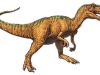 Allosaurus.jpg